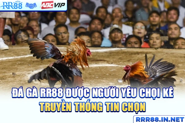 Đá gà RR88 được người yêu chọi kê truyền thống tin chọn