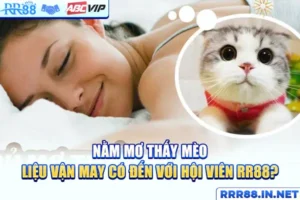 mơ thấy mèo