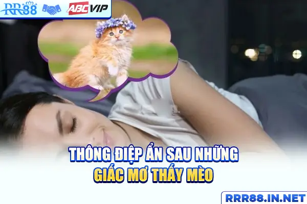 Thông điệp ẩn sau những giấc mơ thấy mèo