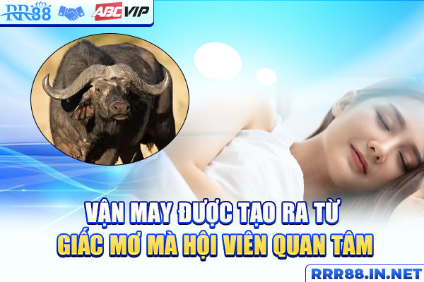 Vận may được tạo ra từ giấc mơ mà hội viên quan tâm
